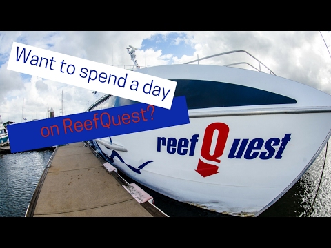 Divers Den Outer Reef Day Trips