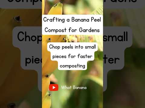 Using Banana Peel as Compost #fruitfuldelights  #bananadelight  #bananafact