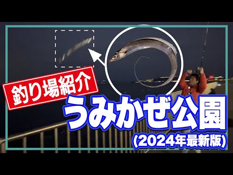 【横須賀うみかぜ公園】この春上京した釣り人必見！太刀魚/大サバ/尺アジを狙うならココ！