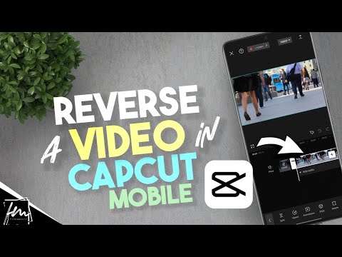 How to reverse a video in Capcut mobile