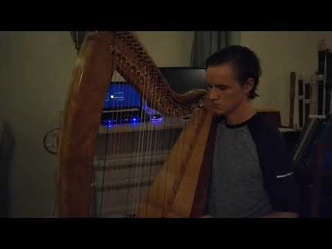 The Lady of Gollerus - Celtic Harp - Nadia Birkenstock