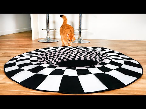 Can Kittens See Optical Illusions? | Compilation