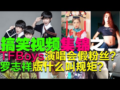 搞笑视频集锦：TF-Boys演唱会出现了假粉丝？罗志祥版“什么叫规矩铁桶” 修音版《隔壁泰山》BGM