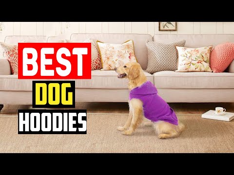 ✅Top 5 Best Dog Hoodies in 2024