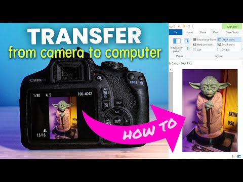 How to Transfer Files from Your Digital Camera to Your Computer