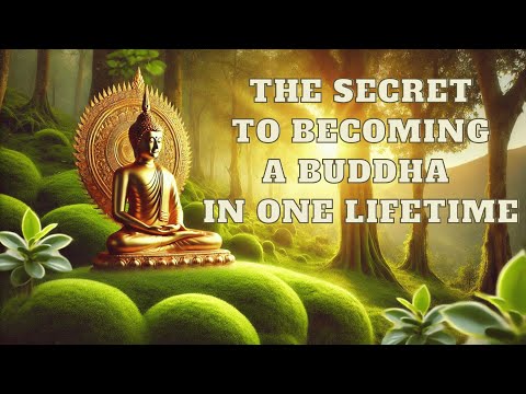 Brief History of Tibetan Esoteric Buddhism : The Secret to Becoming a Buddha in One Lifetime