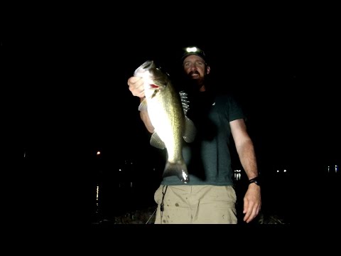 Santee Cooper Bass Fishing | NIGHT FISHING| #fishing #bassfishing