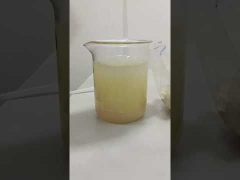 Di Silica Powder Solubility #youtubeshorts #shorts