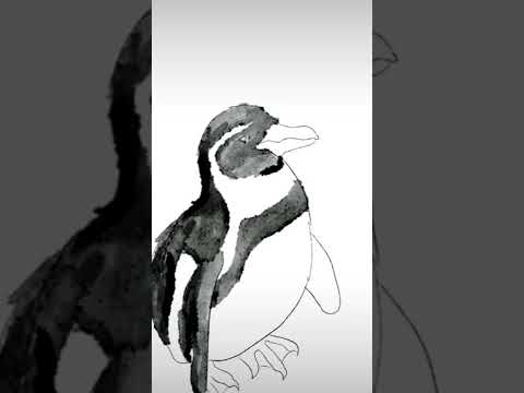 went to the zoo, saw the penguins and had to draw one!