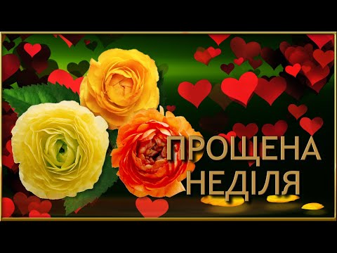 💖ПРОСТИ МЕНЕ💖Анімаційне привітання