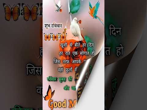 Good morning whatsApp video #song #love #music #hindisong #bollywood #bollyrwoodsongs #lovesongs