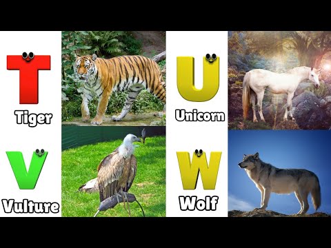 Animals ABC Song | Animals Alphabet Song | English Alphabet Letters | Phonics for Kids