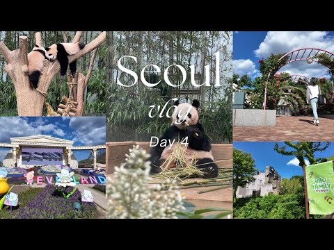 Seoul 🇰🇷 Day 4 | Everland 🎡 | Panda Bao Family 🐼 | Safari Animal 🐯 | Rose Garden 🌹 | Korean BBQ 🥩