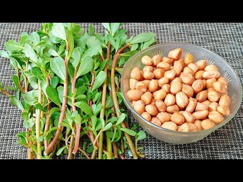 Perfect Pairing: Purslane and Peanuts, Crispy and Delicious❗New Summer Recipe❗Purslane Deliciousness