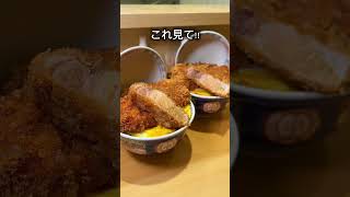 【今話題】分厚すぎる焼きかつ丼！？【日本橋】