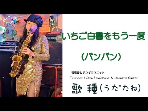 【ベンチャーズハウス六絃】” いちご白書をもう一度 "（ バンバン）Cover by Alto Saxophone / Trumpet & Acoustic Guitar