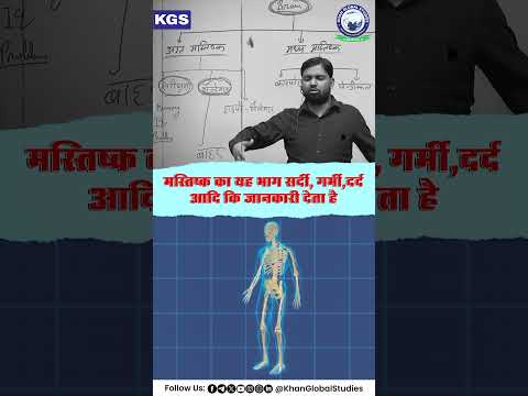 आइये जानते हैं मस्तिष्क के भाग और उनके कार्य l #khansir #khanglobalstudies #ytshorts #science #brain