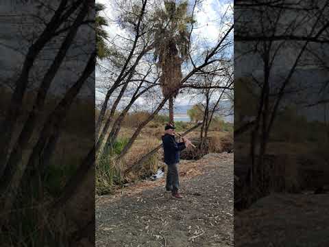 Healing Flute song for Lake Elsinore, CA after a beautiful rain.