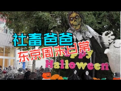 社畜爸爸周末日常，小孩接种流感疫苗多少钱？第一次参加公寓楼管理会议！