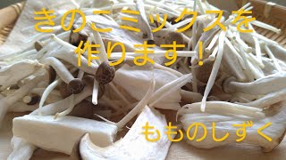 【もものしずく】きのこミックスを作ります！冷凍カボチャで荷物も作ります