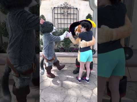 Meeting Puss in Boots & Kitty Softpaws at Universal Orlando