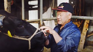 【GREEN WEB】丹精込めて育てた北海道産の牛肉を食べてほしい／生産者インタビュー