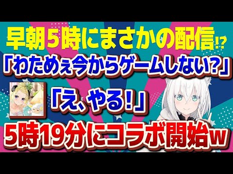 【白上フブキ】早朝5時に突如始まったフブわたコラボが面白すぎたw【ホロライブ/切り抜き】