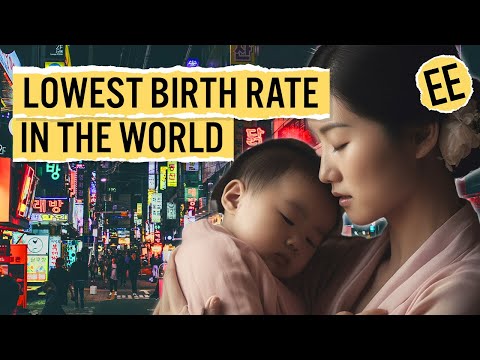 Is South Korea's Economic Bubble About to Burst? | Economics Explained