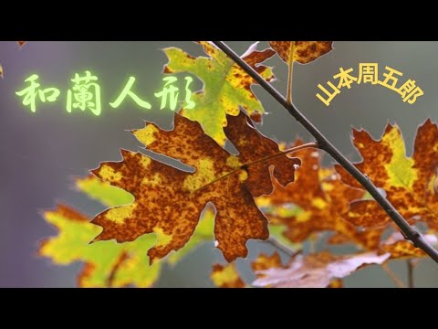 【朗読】 和蘭人形  山本周五郎作　朗読　芳井素直