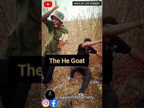 The He Goat #comedy #funny #funnyvideo #jokes #trending #viral #africa #youtube @youtubecreators