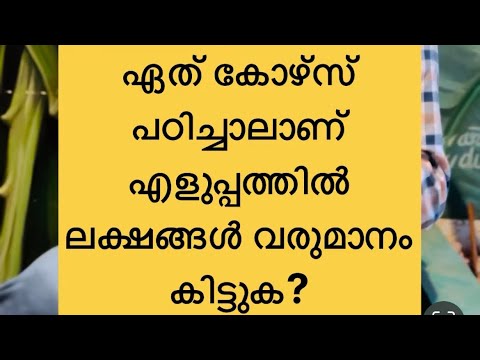 ഏത് കോഴ്സ് പഠിച്ചാലാണ് എളുപ്പത്തിൽ ലക്ഷങ്ങൾ വരുമാനം കിട്ടുക?