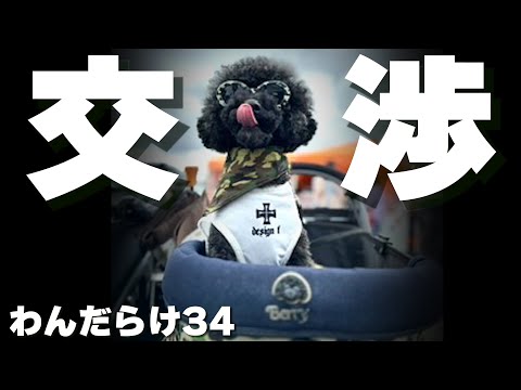 【わんだらけ34】日本最大級のイベントで運命の取引交渉！