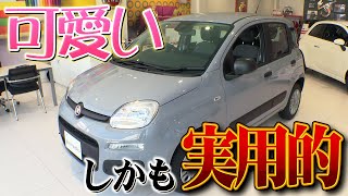 あまりお店に入ってこない「PANDA EASY」がやってきた！！実用的なフィアットパンダはこんな車です＠FIAT札幌東