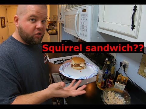 Squirrel Catch n' Cook Amazing Pulled Squirrel Sandwich!