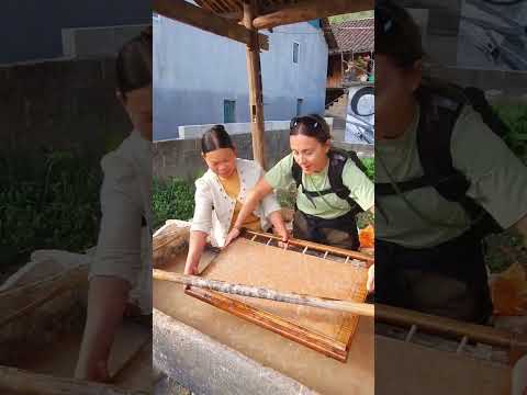 📜 RARE Vietnamese Paper Making You've Never Seen Before! 🇻🇳 #travelvietnam #culture