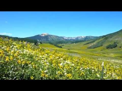 Wildflower Capital of Colorado - Crested Butte