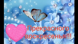 ПРИВЕТ! Прекрасного Воскресенья! Лови Дружеское Приветствие!