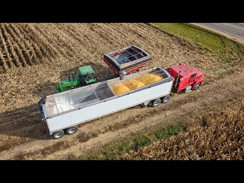 A Day of Harvest Life