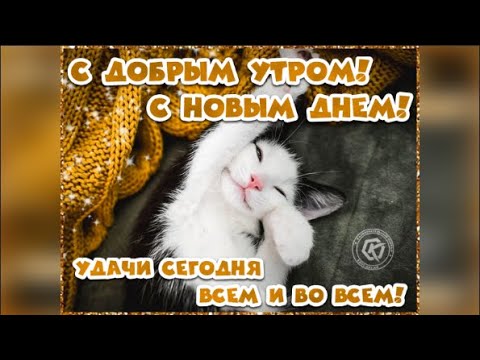 С Добрым Утром! Красивая Музыкальная Открытка! #сдобрымутром