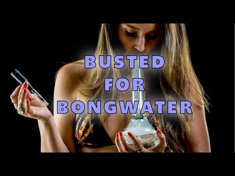 Busted for Bongwater?