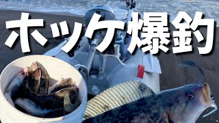 積丹ホッケ釣り！釣り堀状態