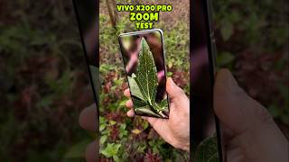 Vivo X200 Pro Zoom Test #vivo #vivox200series #vivox200pro #trending #shorts