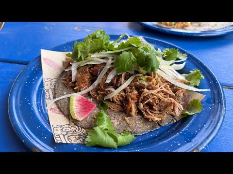 Nixta Taqueria - Delicious Duck Confit Taco and Fresh Tuna Tartare Tostada in Austin, Texas