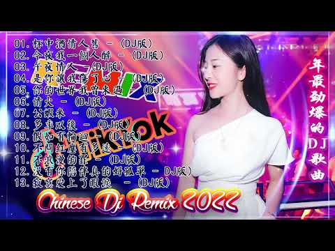 中国最好的歌曲 2022 DJ 排行榜 中国-Chinese DJ (中文舞曲)-舞曲串烧 2022 Chinese DJ- 年最劲爆的DJ歌曲-跟我你不配 全中文DJ舞曲 高清 新2022夜店混音