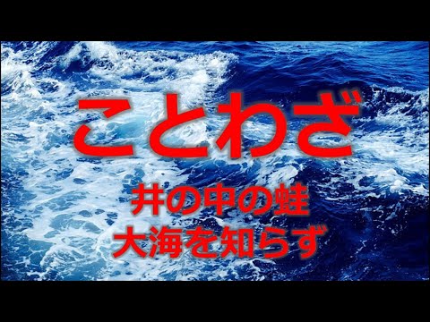 ことわざ15　井の中の蛙大海を知らず!