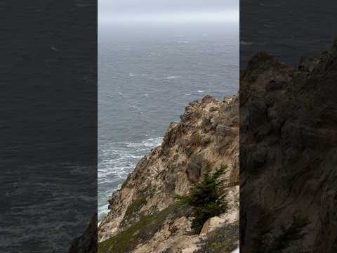 Point Reyes Peninsula in California is Salinian Block transported northward by San Andreas Fault!