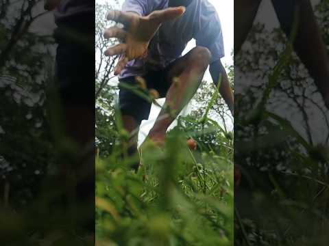 front flip 😱🥀🥀#flip #stunt #practice ##trandingsong ♥️♥️♥️#viralshorts #shorts #pleasesubscribe 🙏🙏🙏