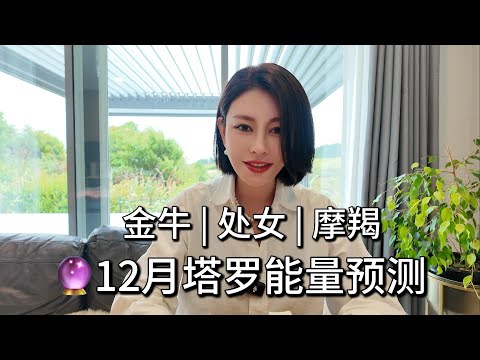 🔮12月塔罗能量预测【金牛/处女/摩羯】