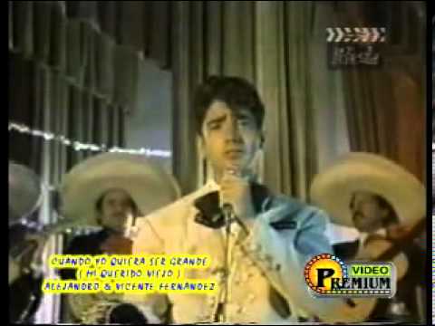 Mi QUERIDO VIEJO   VICENTE FERNAN DEZ ALEJANDRO FERNANDEZ   YouTube