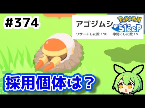 【睡眠リサーチ】＃374『2週間の成果はどうでした？』【ポケモンスリープ/pokemon sleep】【無課金ゴプラ勢】【ゆっくり実況ずんだもん】